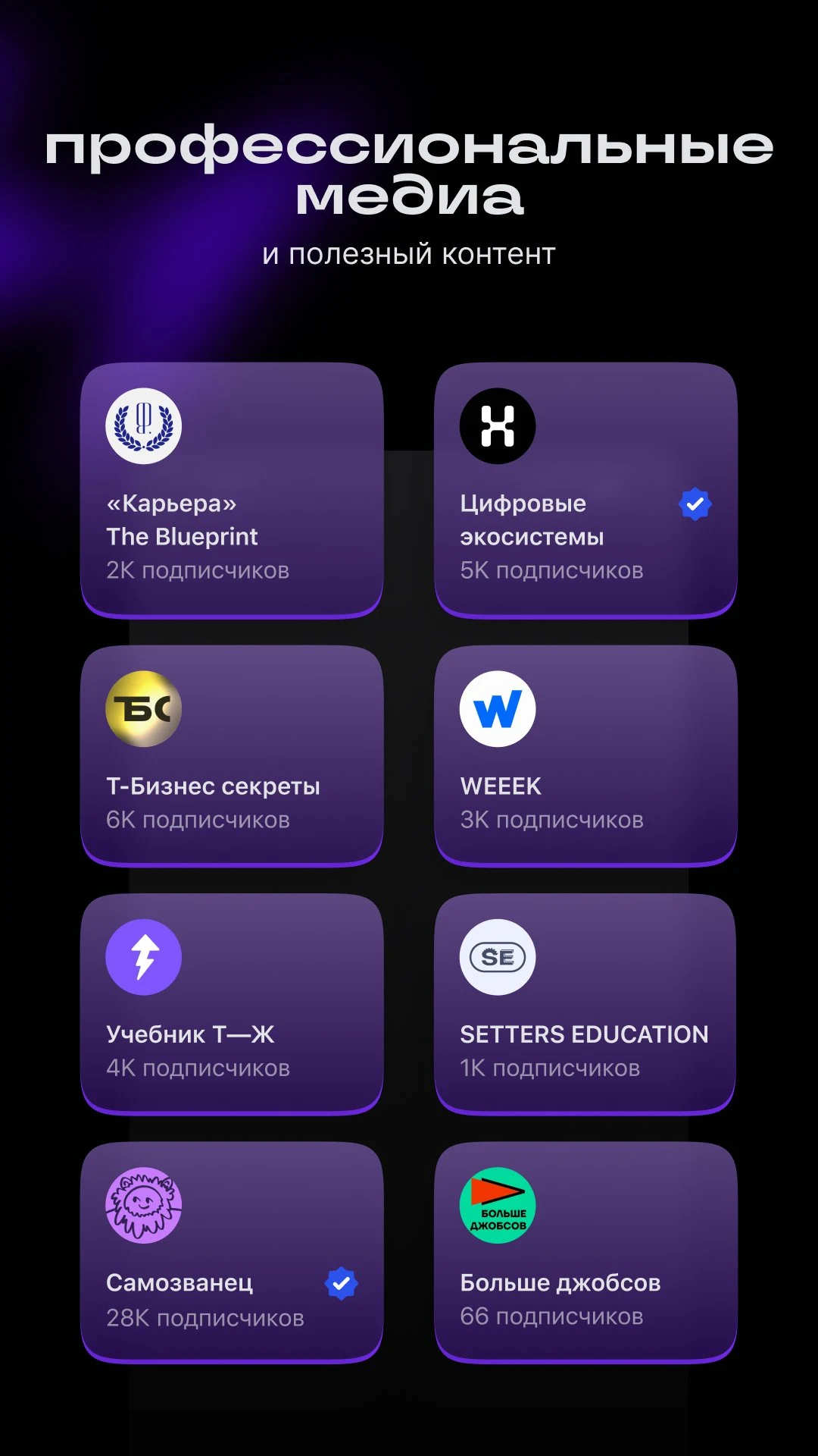 Setka — career social network screenshot